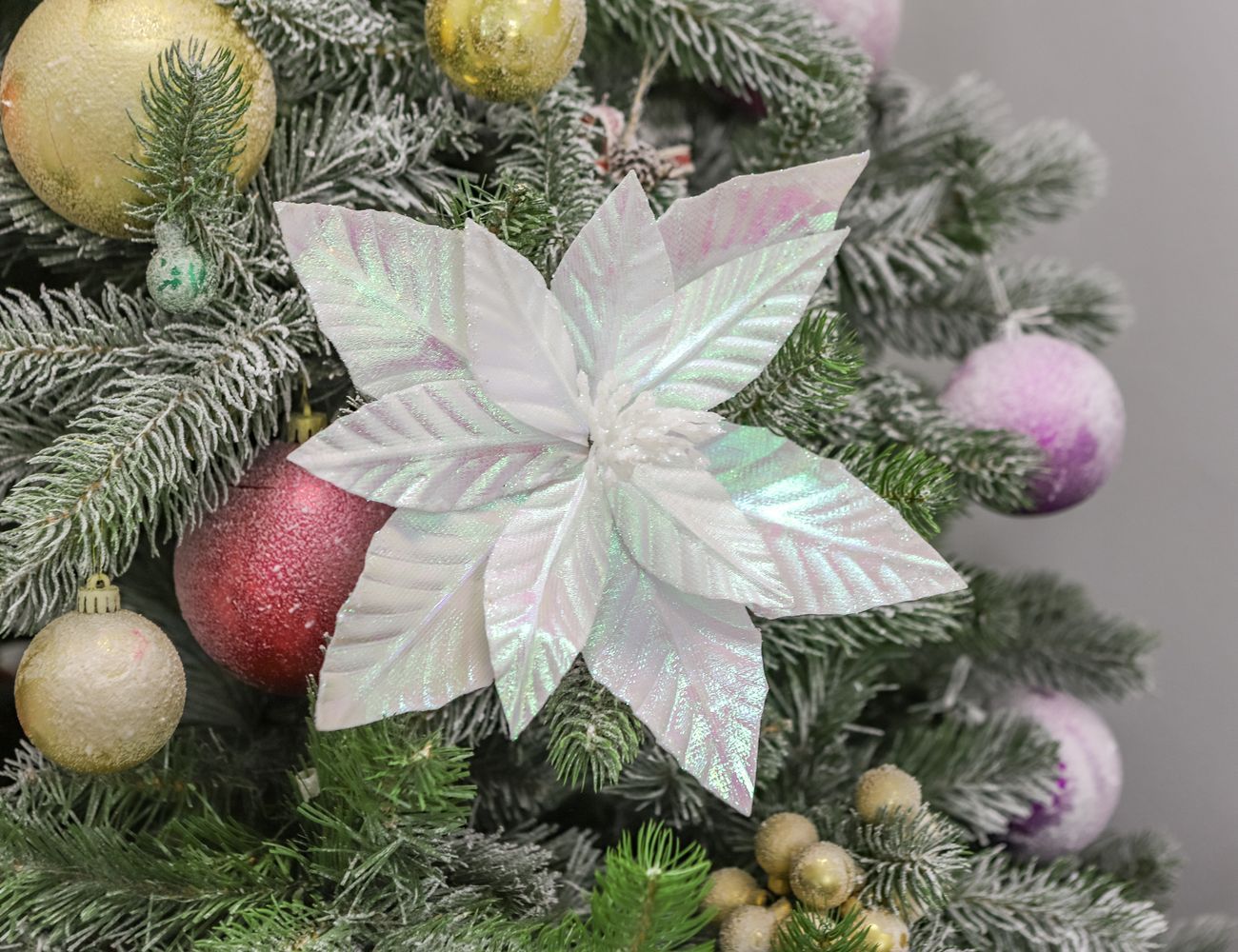 Увеличить фотографию