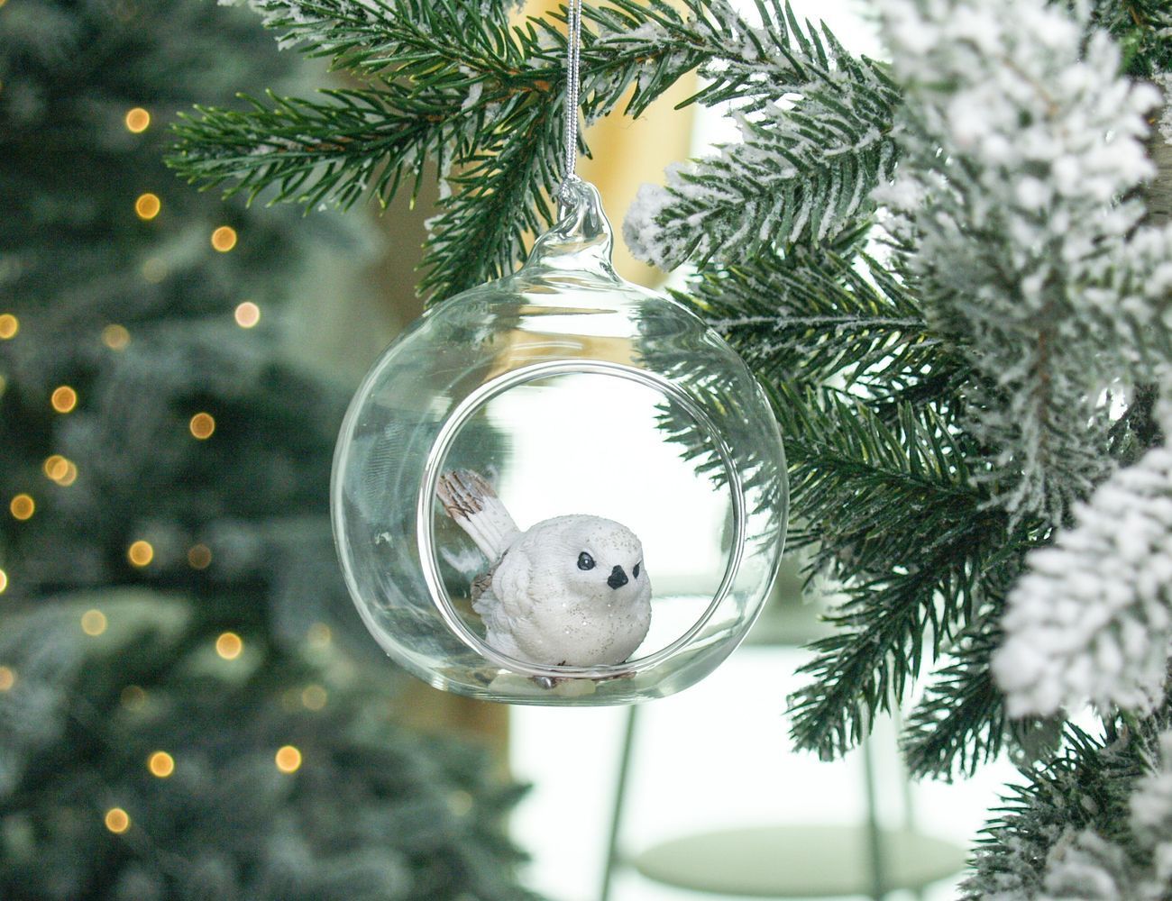 Увеличить фотографию