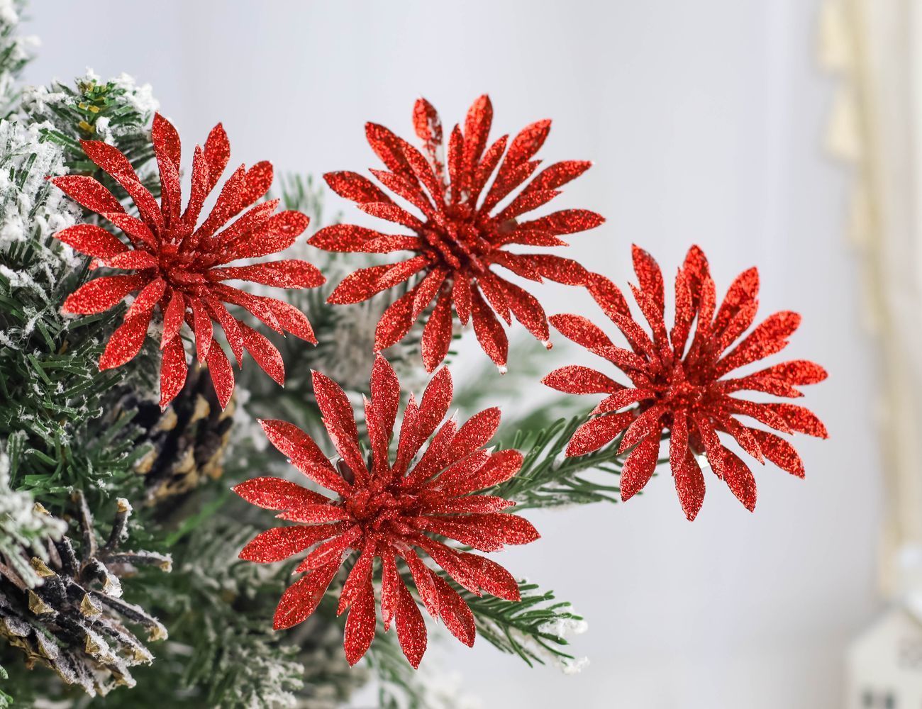 Увеличить фотографию