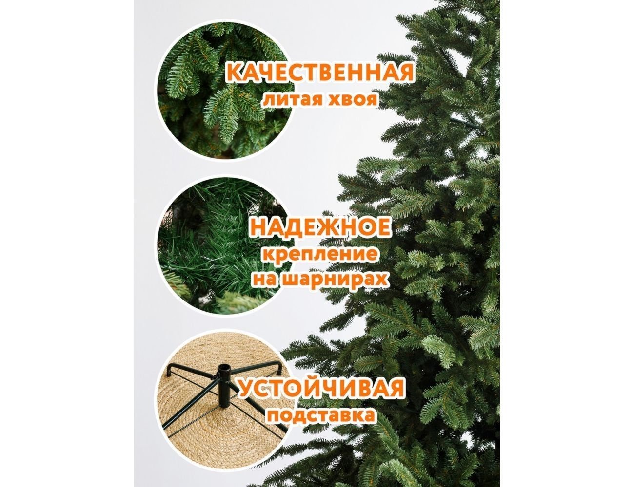 Увеличить фотографию