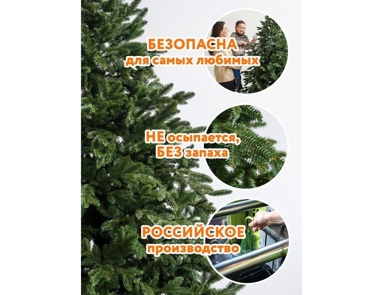 Увеличить фотографию