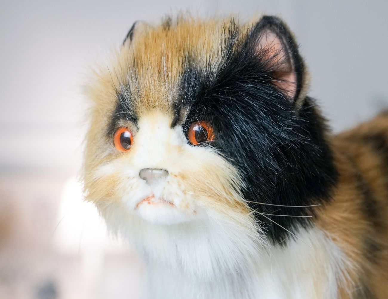 Увеличить фотографию