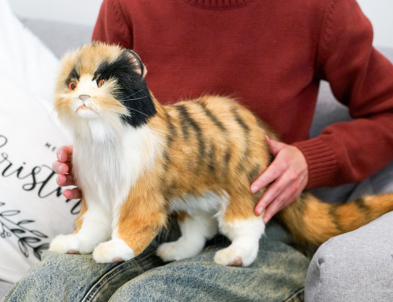 Увеличить фотографию