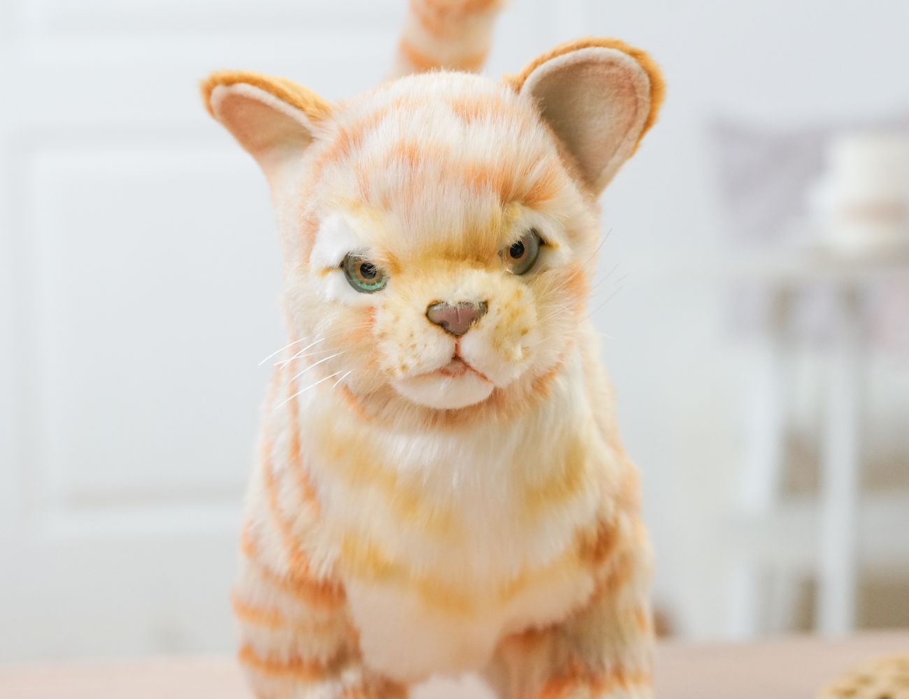 Увеличить фотографию