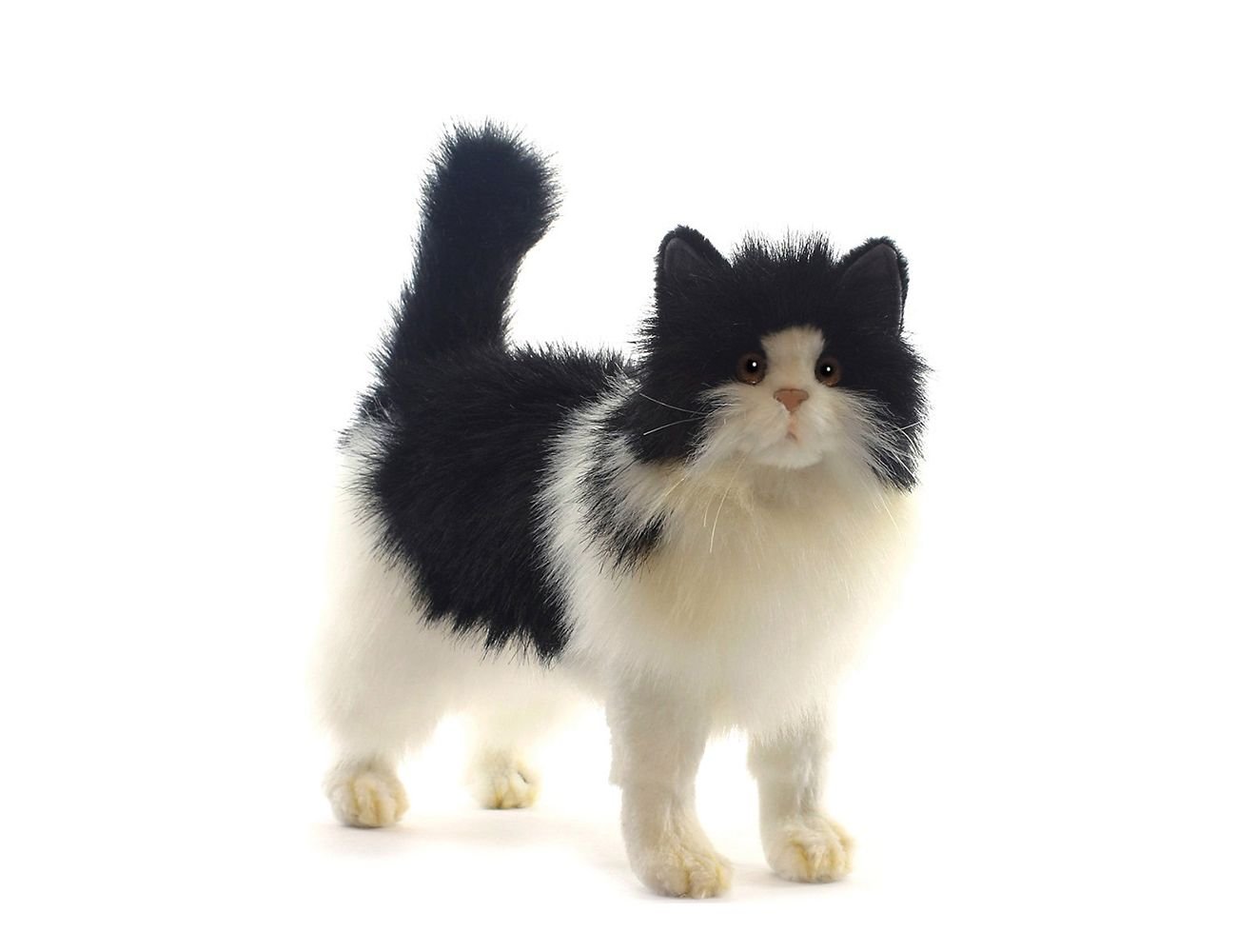 Увеличить фотографию