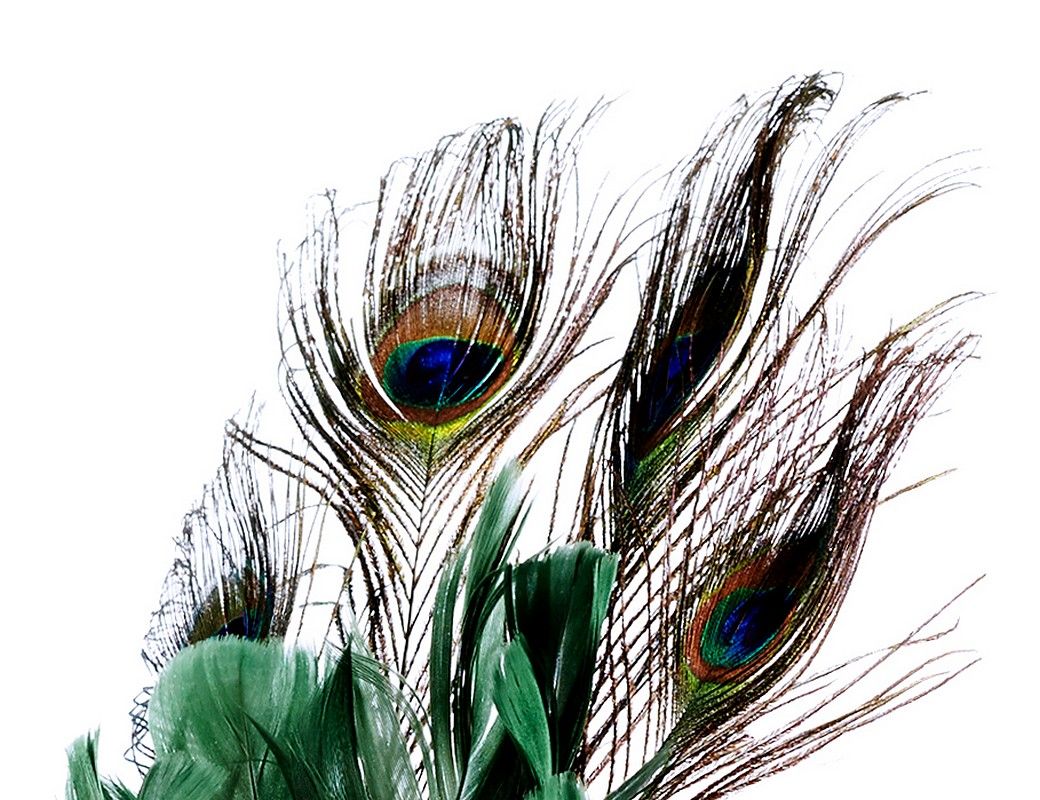 Елочная игрушка ГОРДЫЙ ПАВЛИН на клипсе, перо, 26 см, Goodwill MC40128 ...