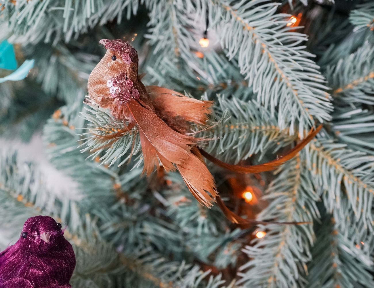 Увеличить фотографию