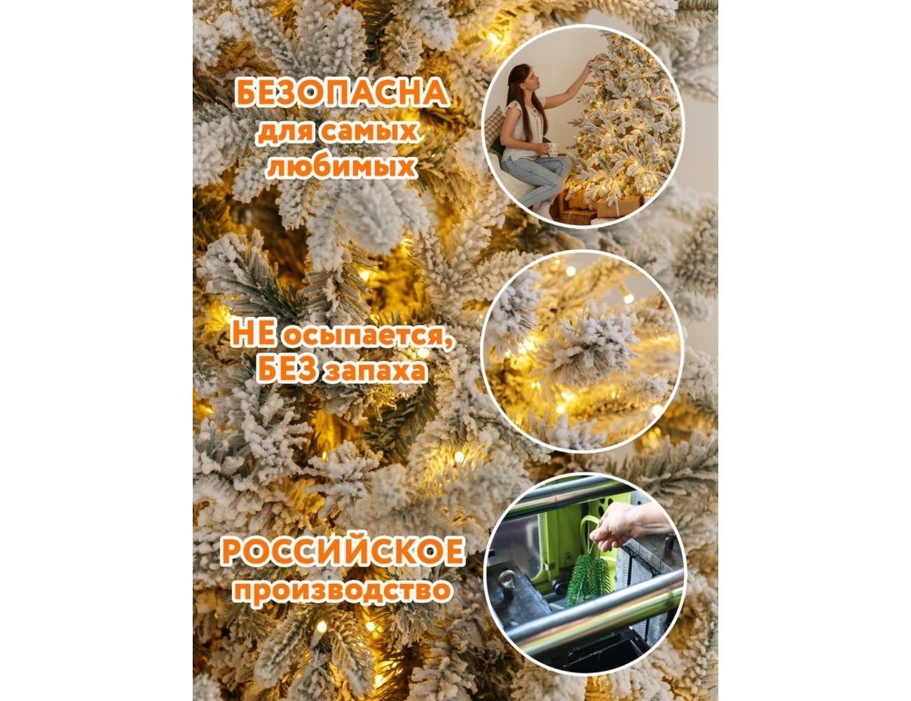 Увеличить фотографию