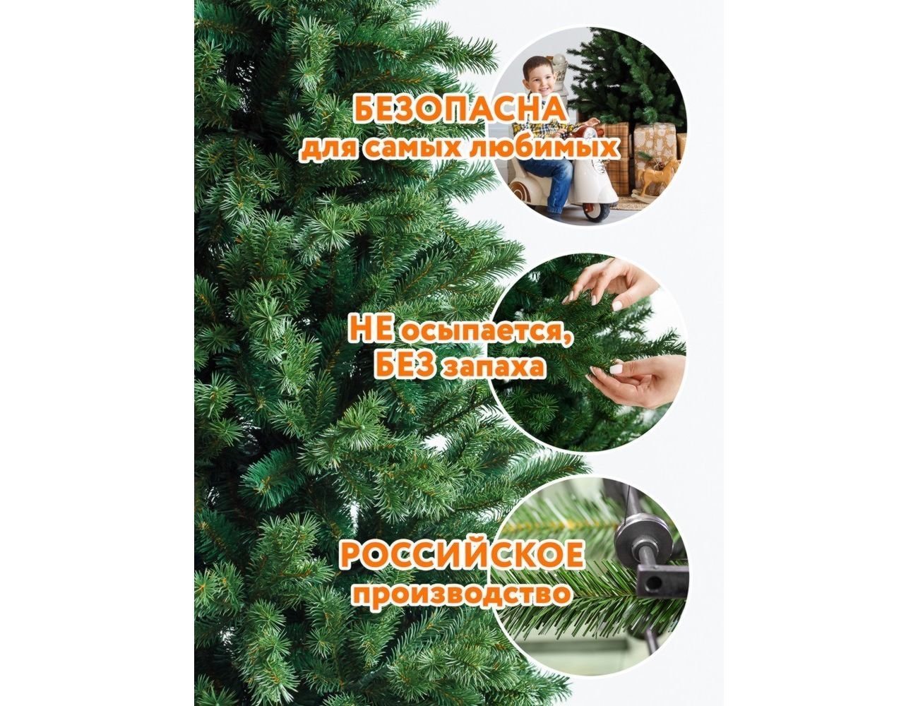Увеличить фотографию