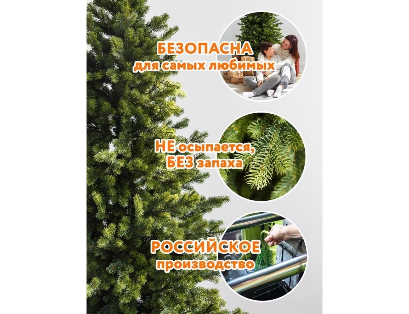 Увеличить фотографию