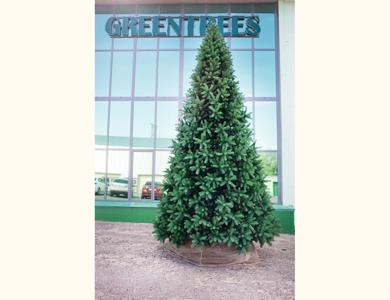 Увеличить фотографию