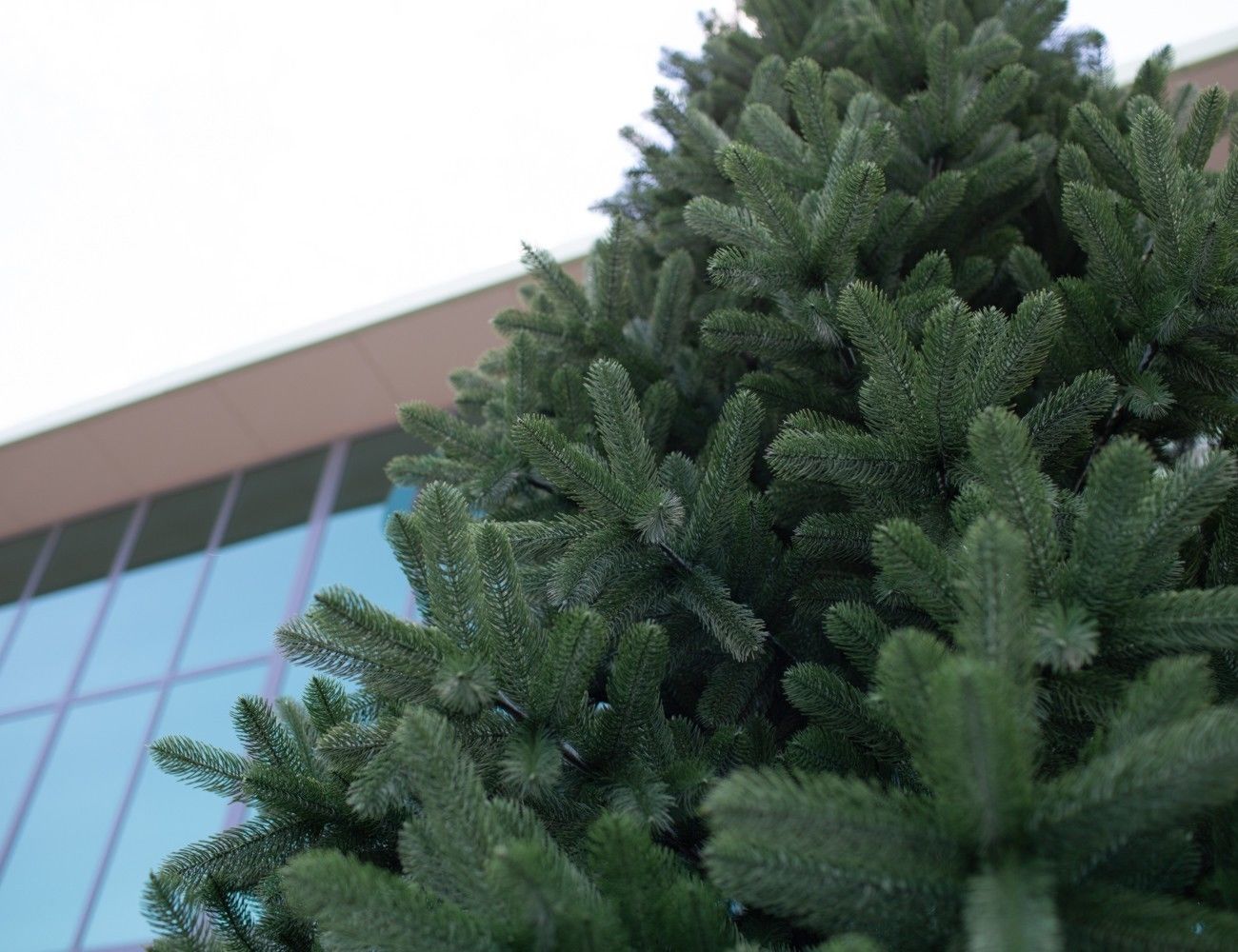 Увеличить фотографию