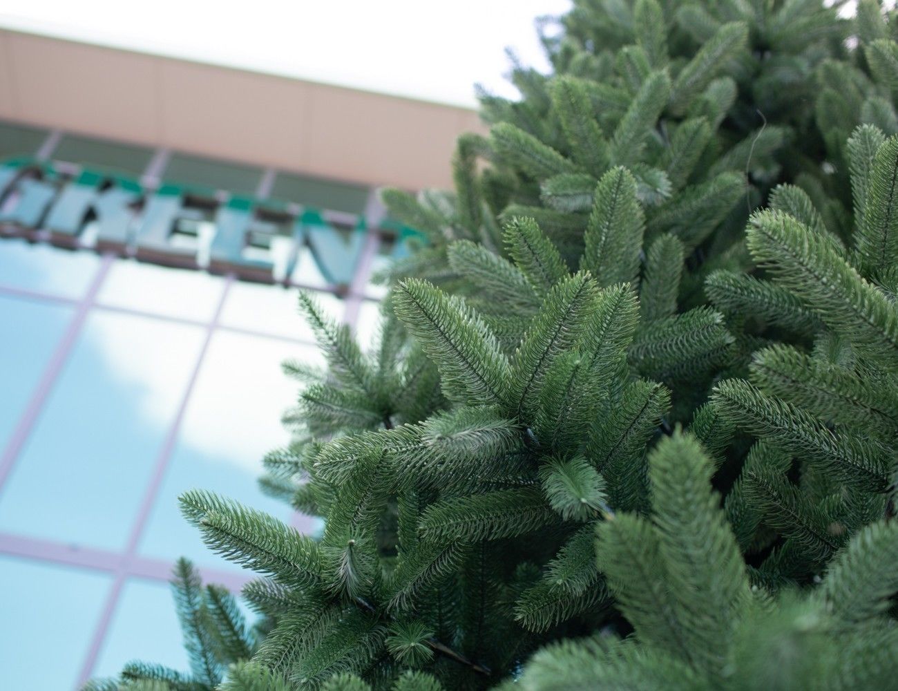 Увеличить фотографию