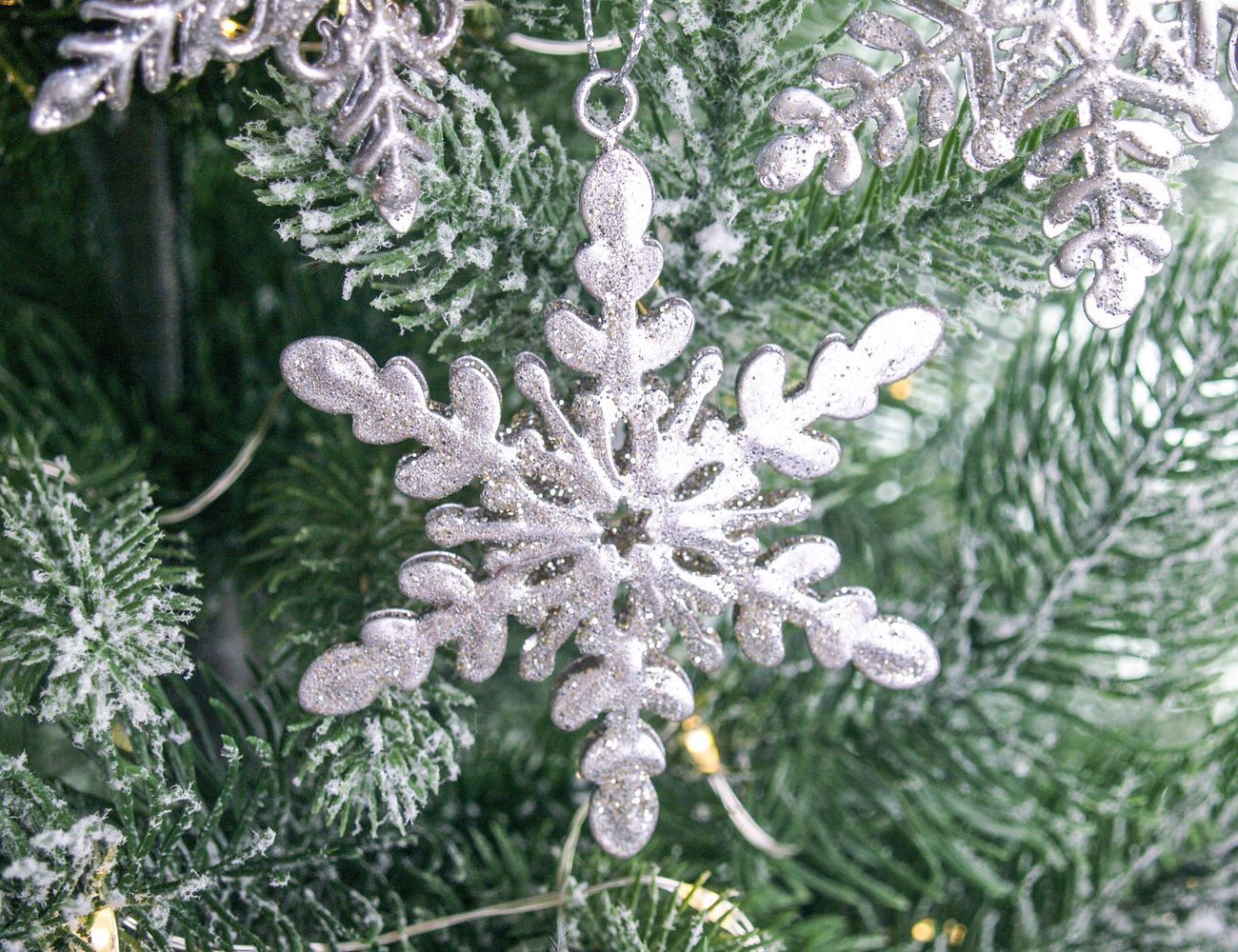 Увеличить фотографию