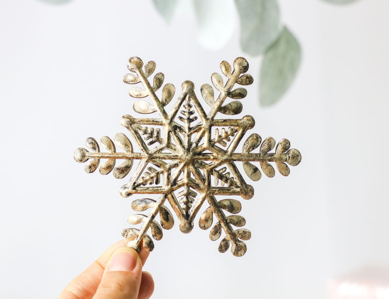 Увеличить фотографию