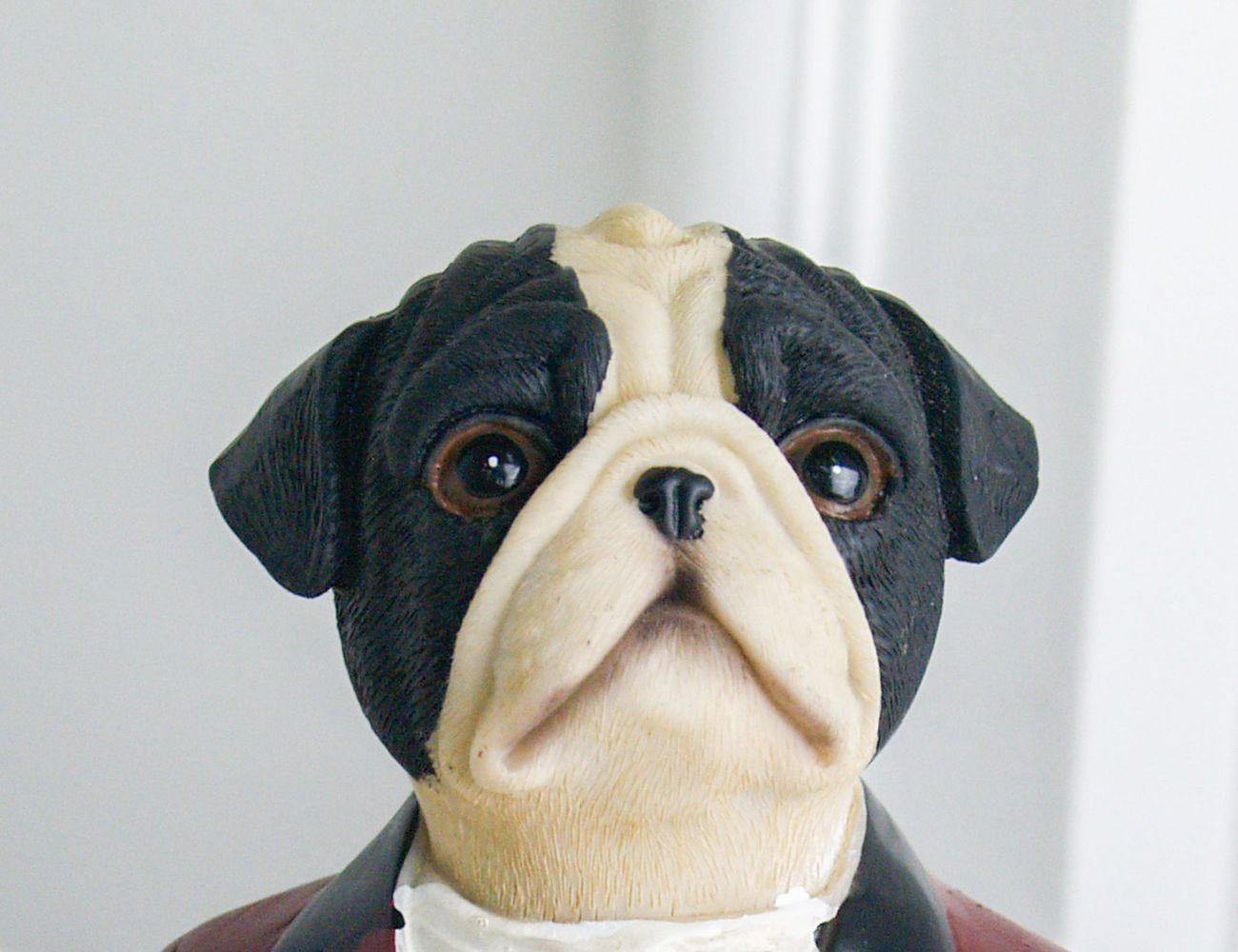 Увеличить фотографию