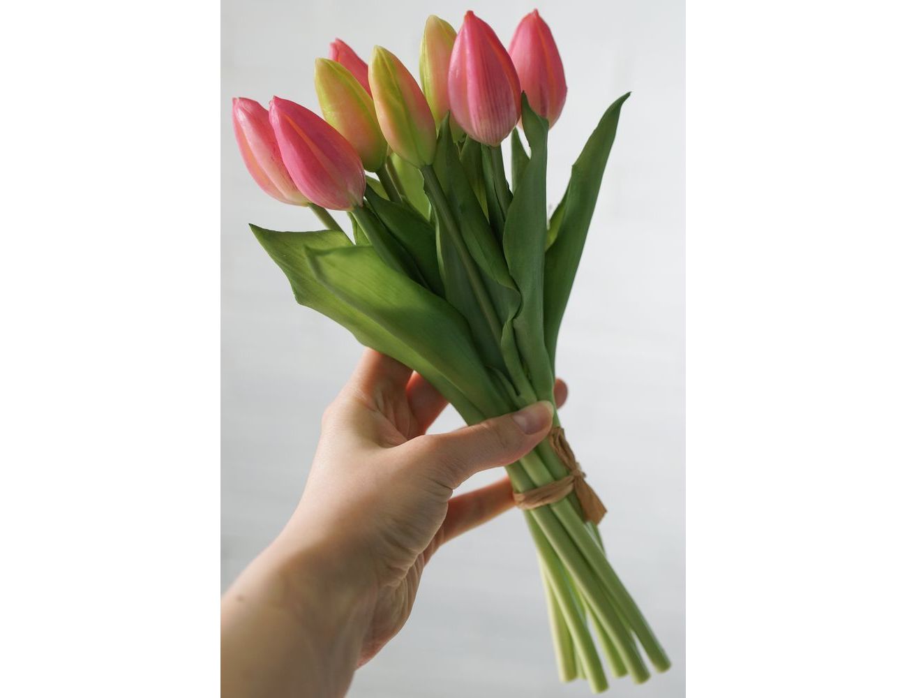 Увеличить фотографию