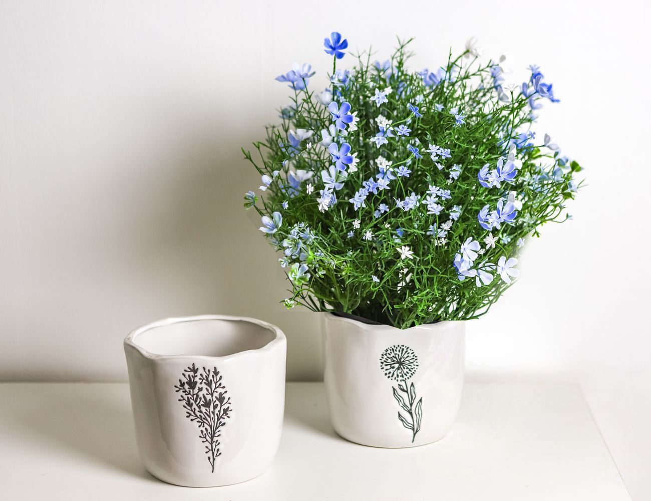 Увеличить фотографию