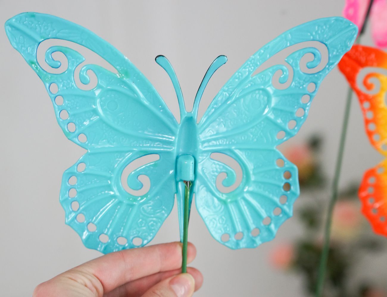 Увеличить фотографию