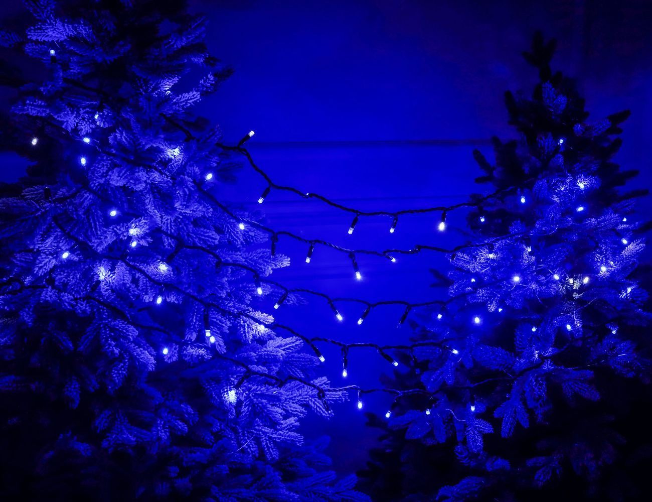 Увеличить фотографию