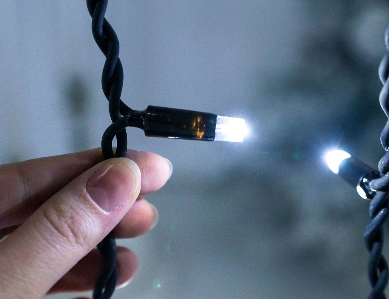 Увеличить фотографию