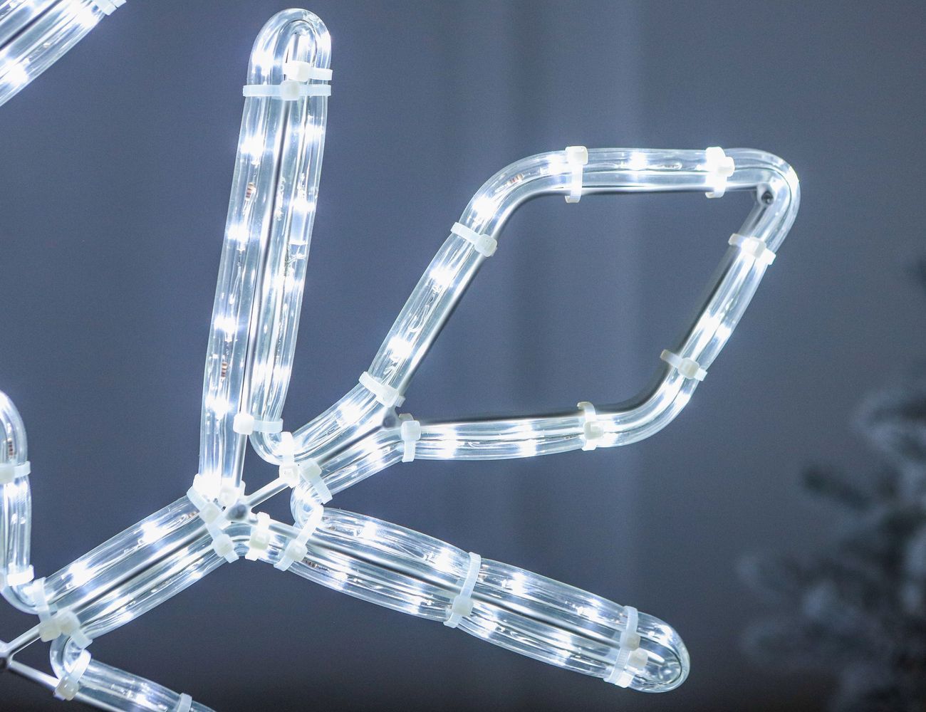 Увеличить фотографию