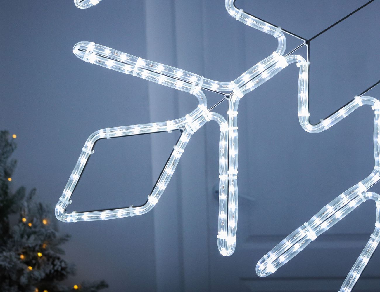 Увеличить фотографию