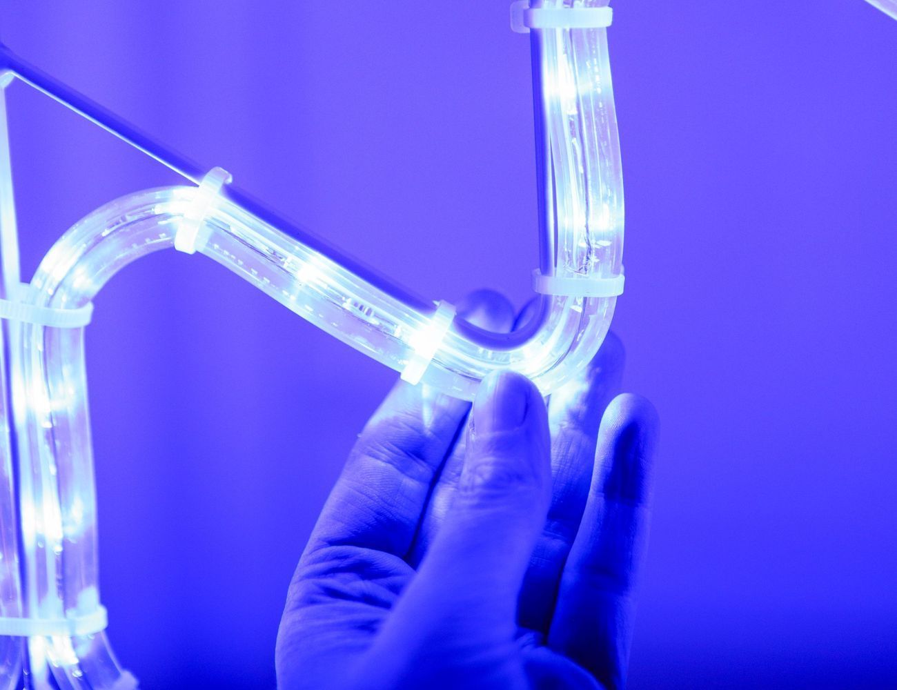 Увеличить фотографию