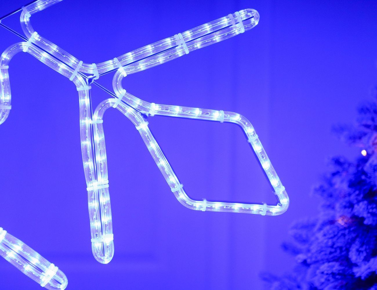 Увеличить фотографию