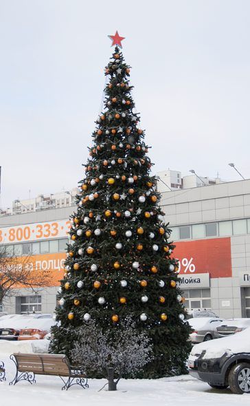 Увеличить фотографию