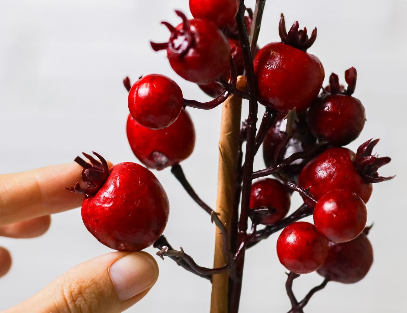 Увеличить фотографию