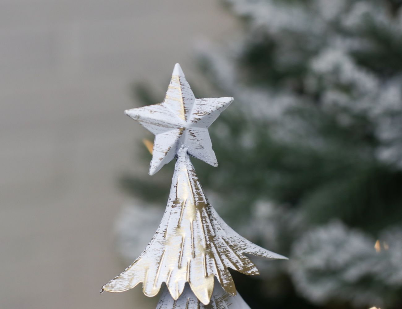 Увеличить фотографию