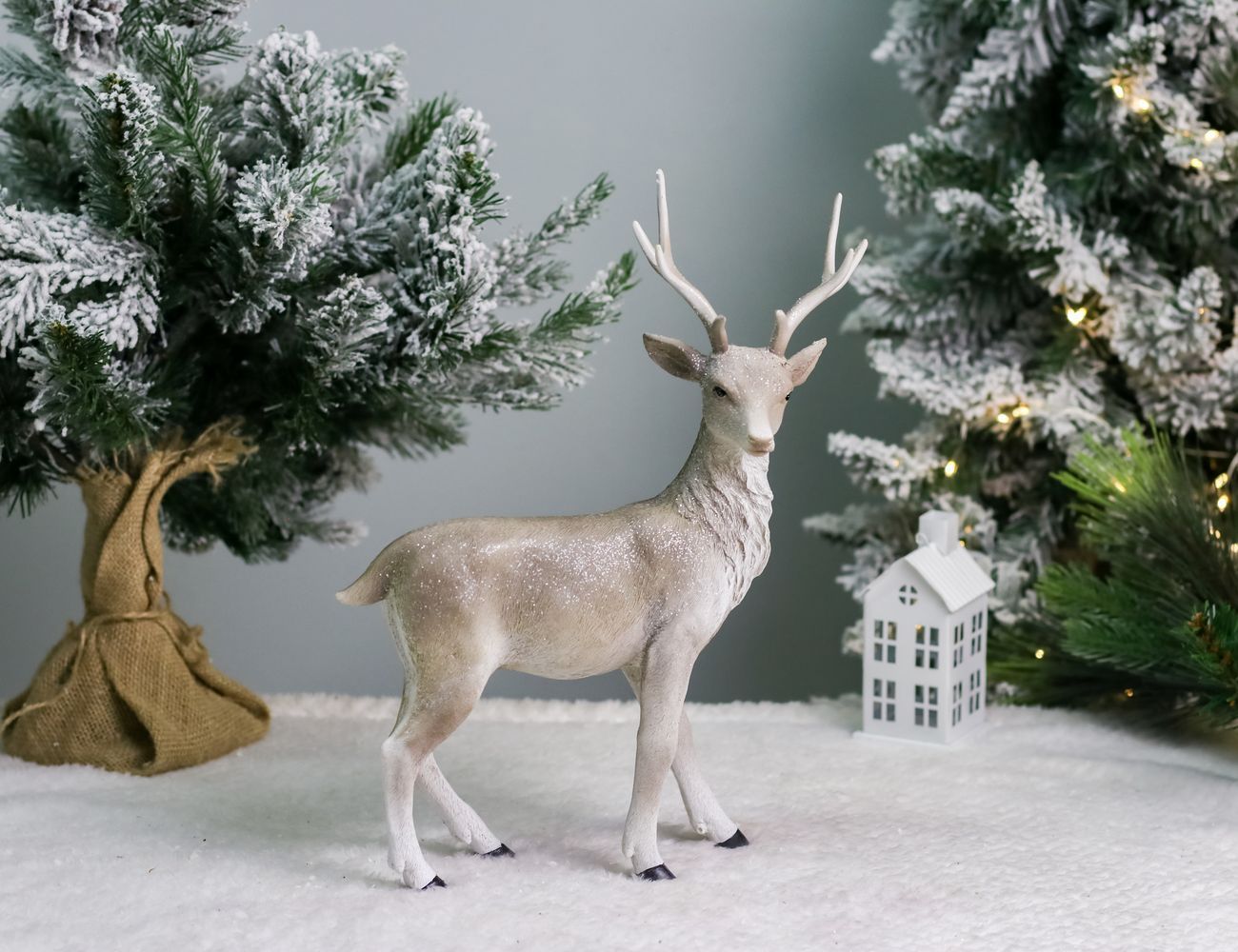 Увеличить фотографию