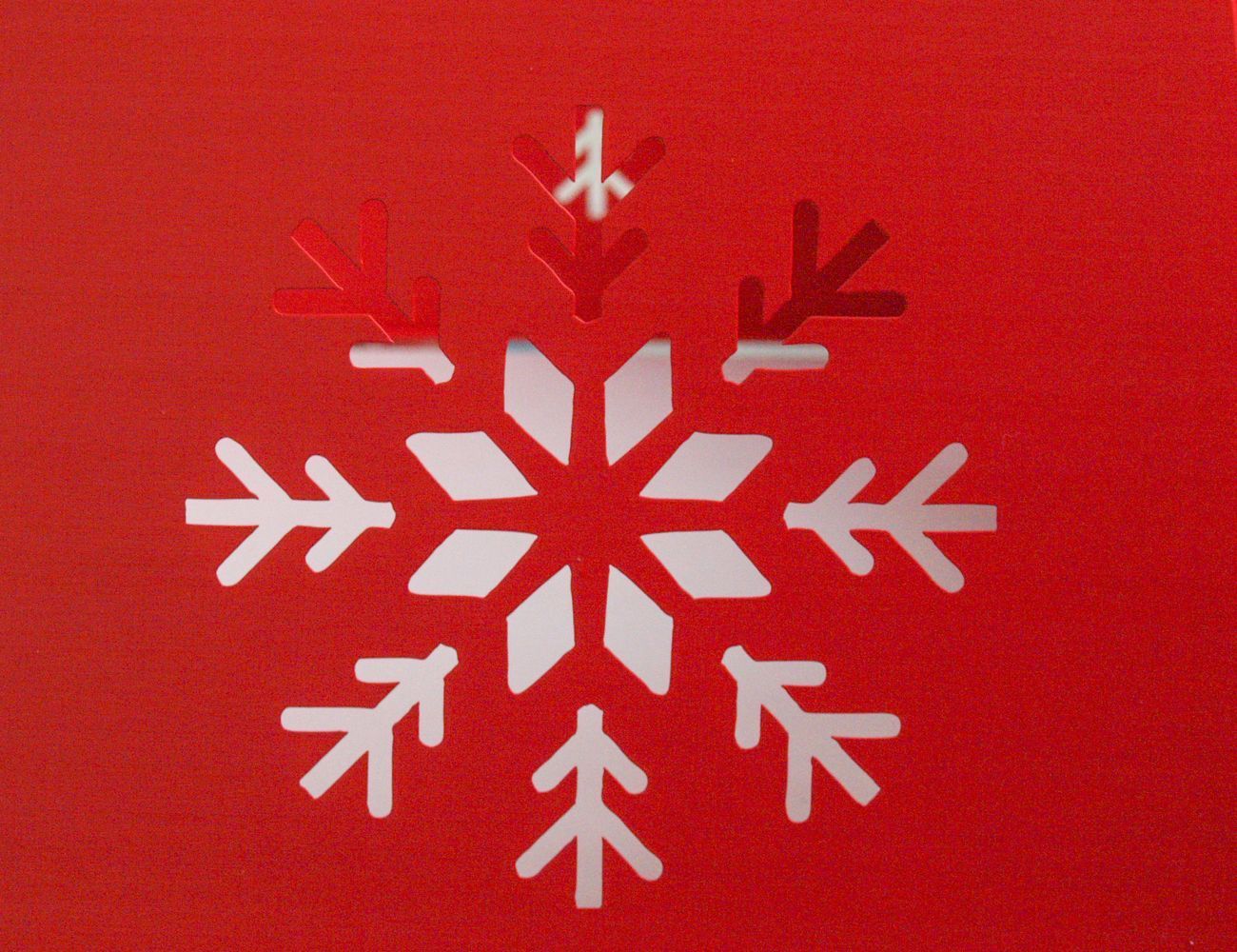 Увеличить фотографию