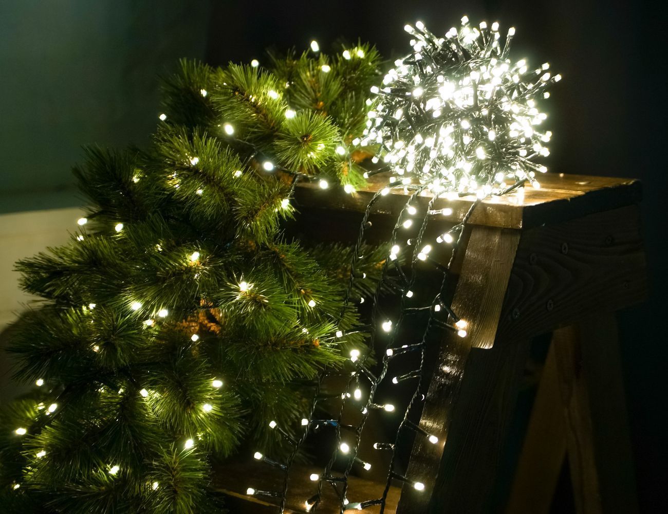 Увеличить фотографию