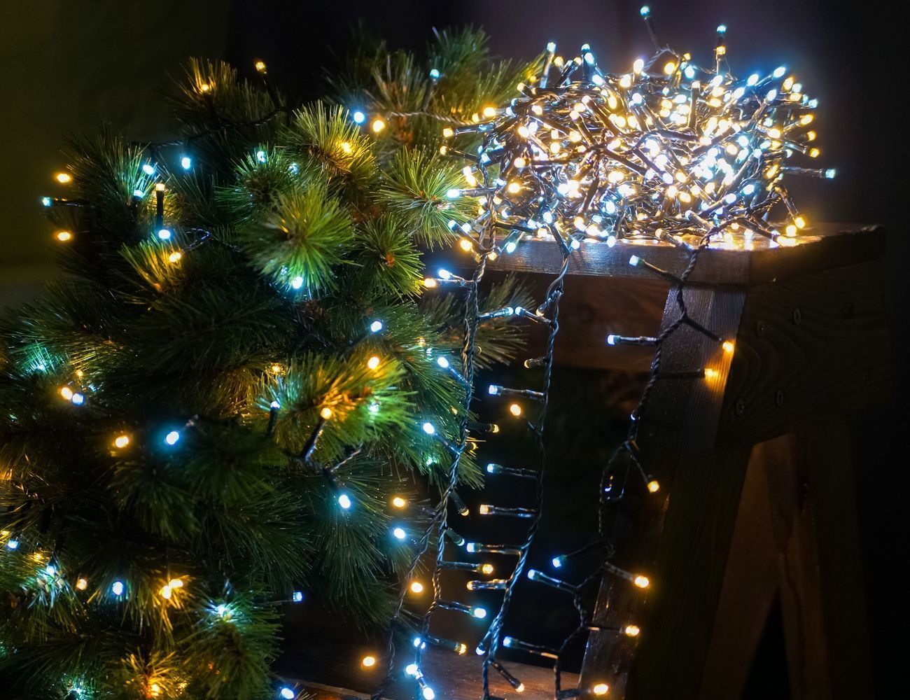 Увеличить фотографию