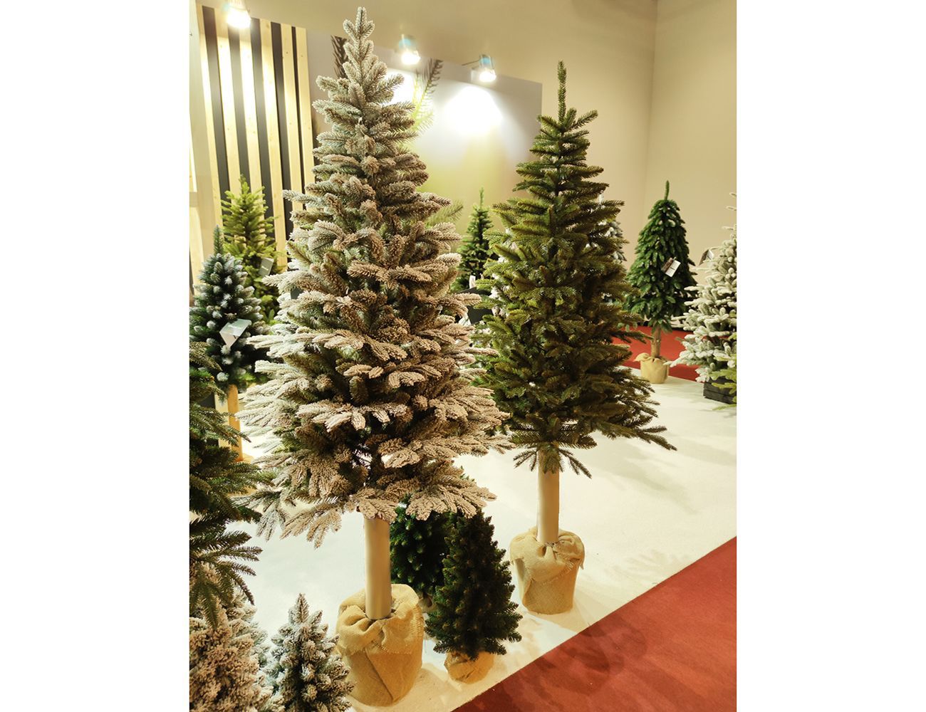 Увеличить фотографию