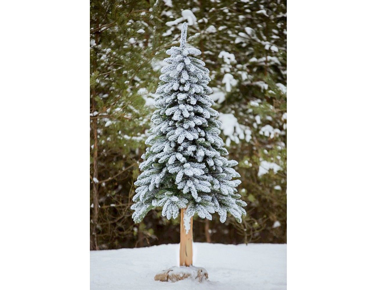 Увеличить фотографию