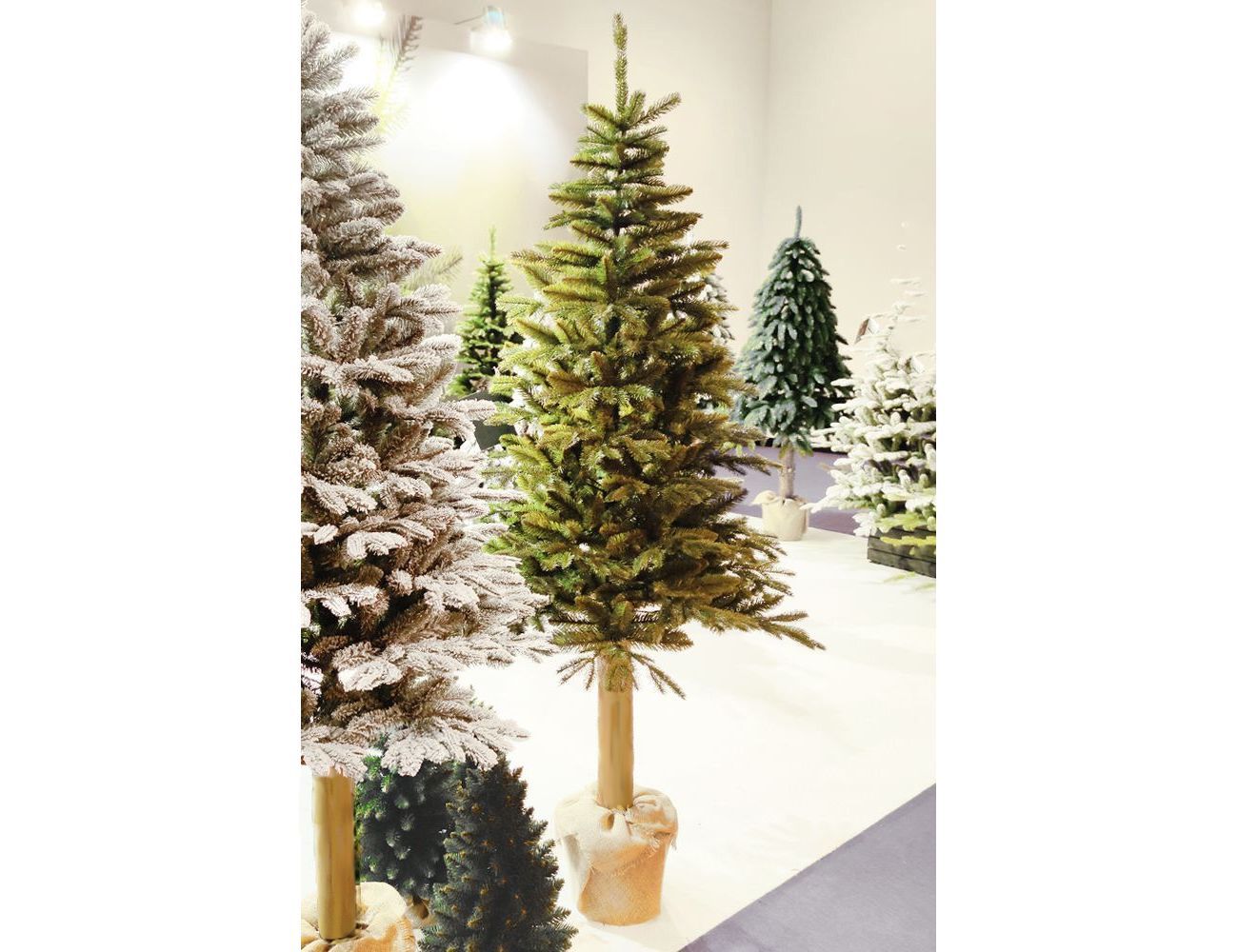 Увеличить фотографию