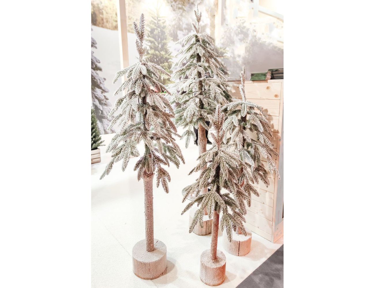 Увеличить фотографию