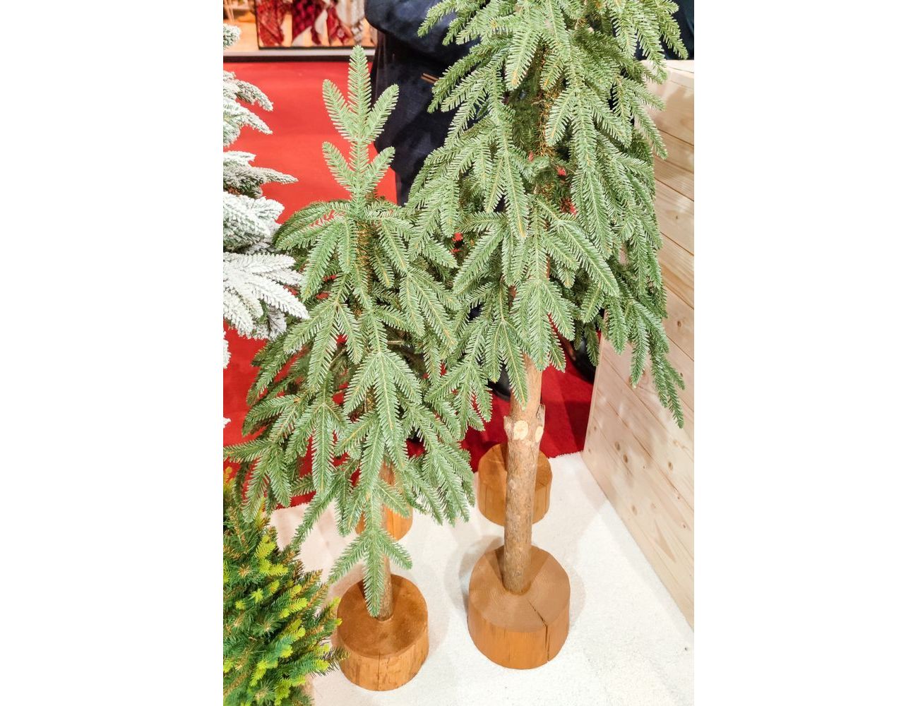 Увеличить фотографию