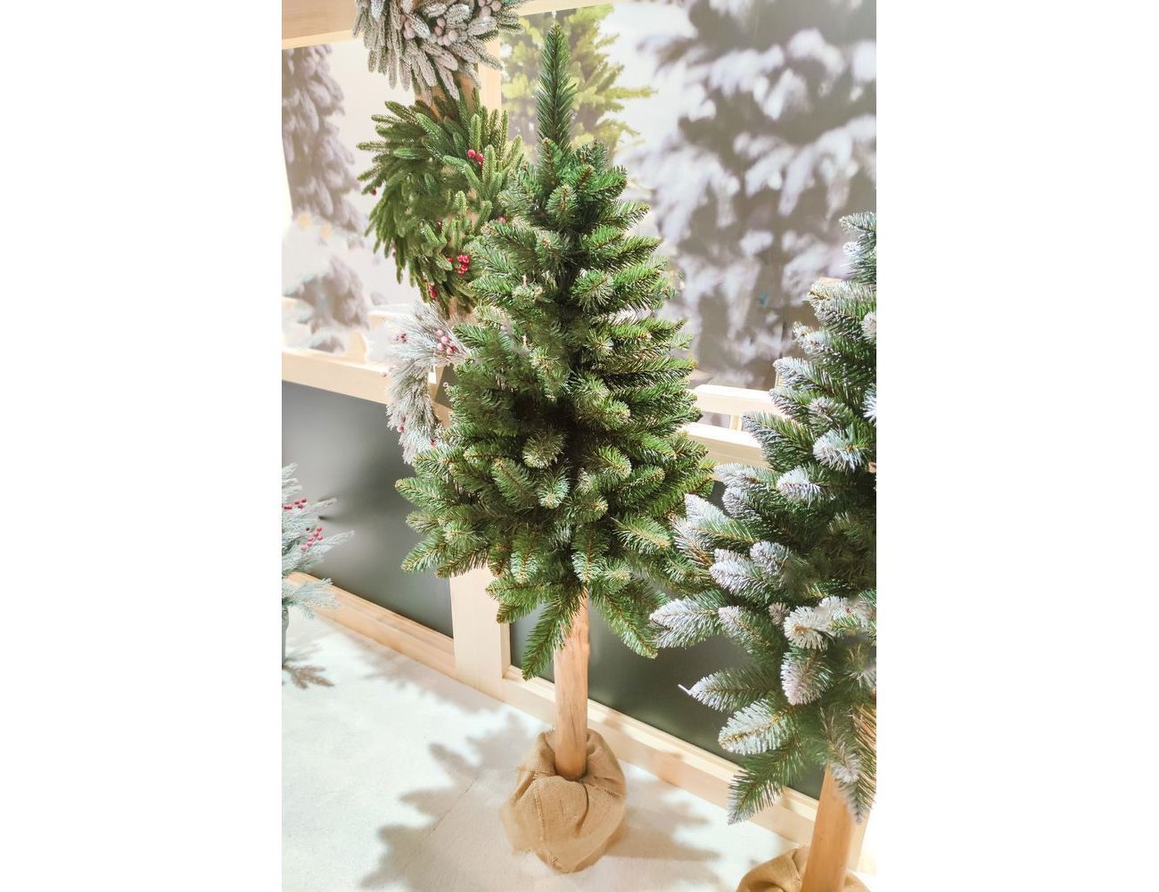 Увеличить фотографию