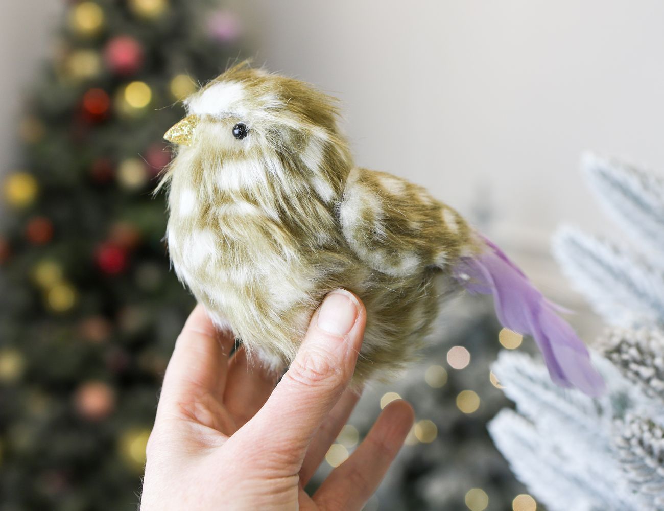 Увеличить фотографию