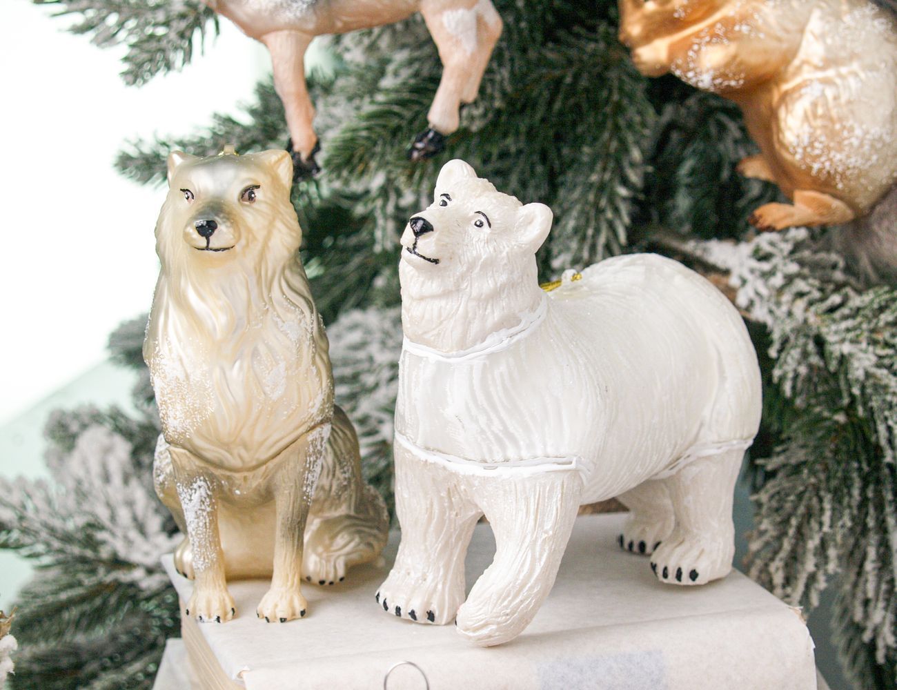 Увеличить фотографию