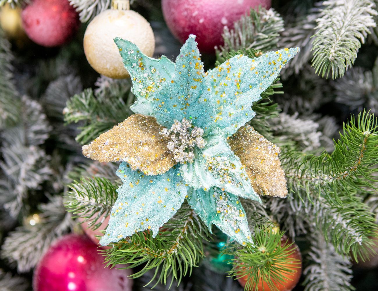 Увеличить фотографию