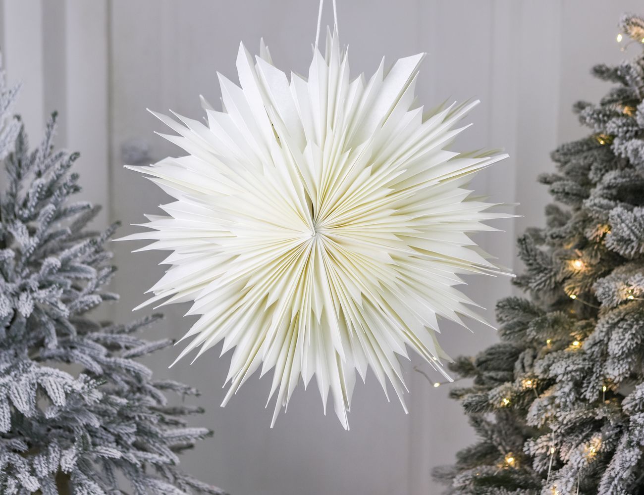 Увеличить фотографию