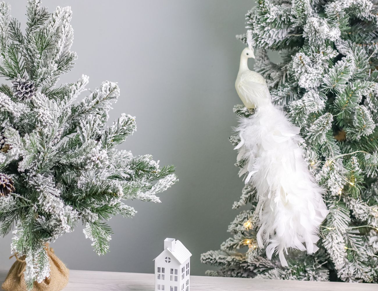 Увеличить фотографию