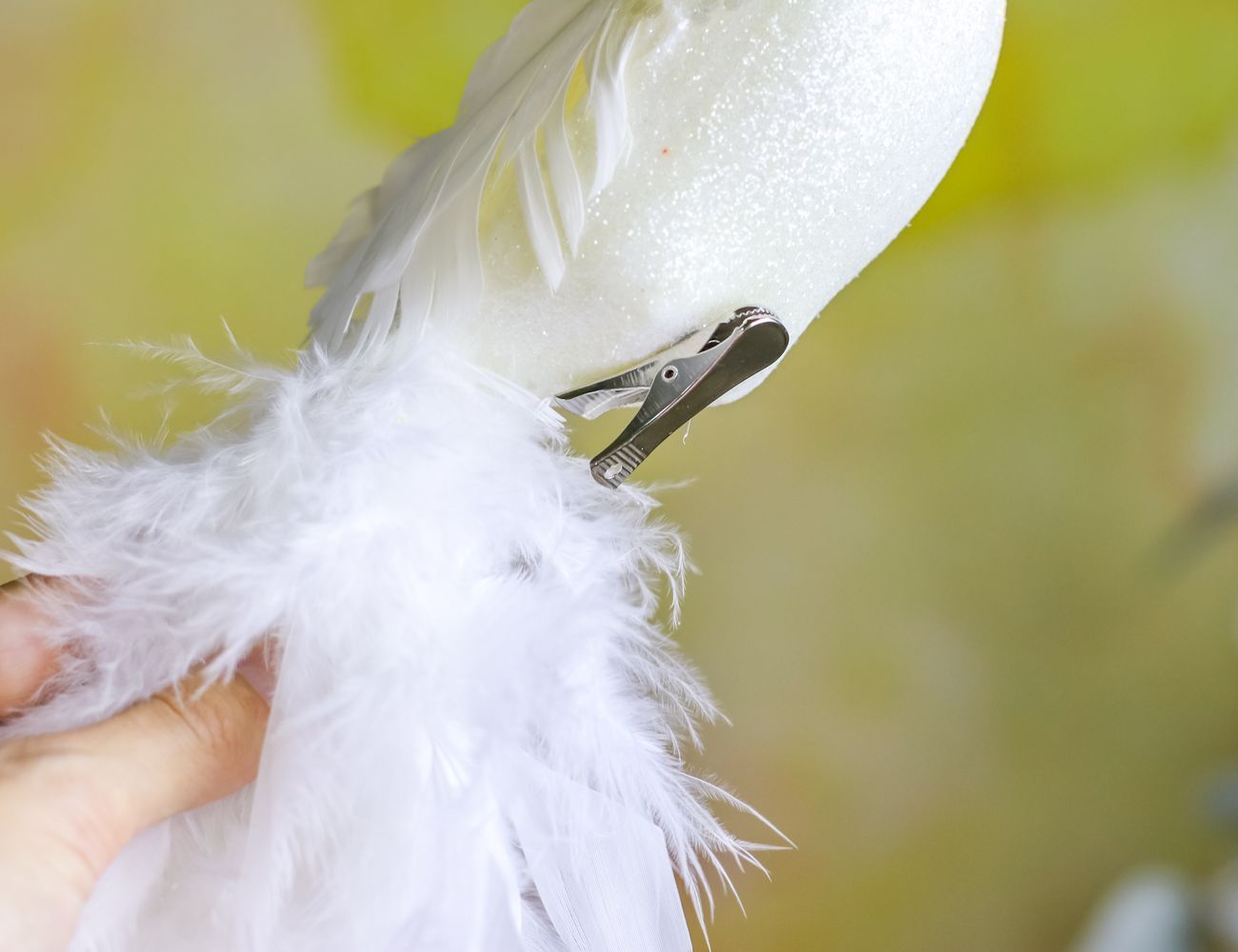 Увеличить фотографию