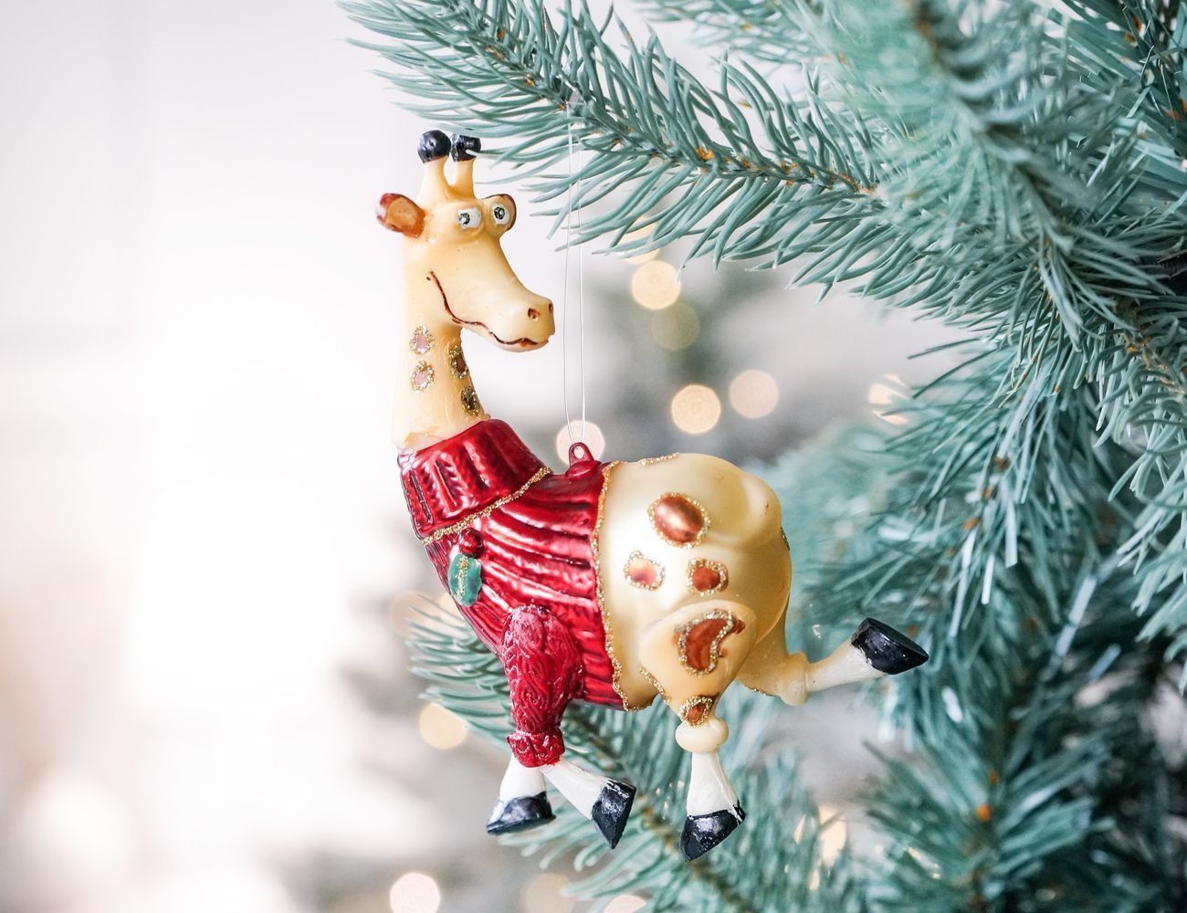 Увеличить фотографию