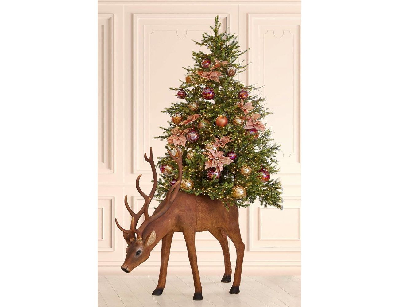 Увеличить фотографию